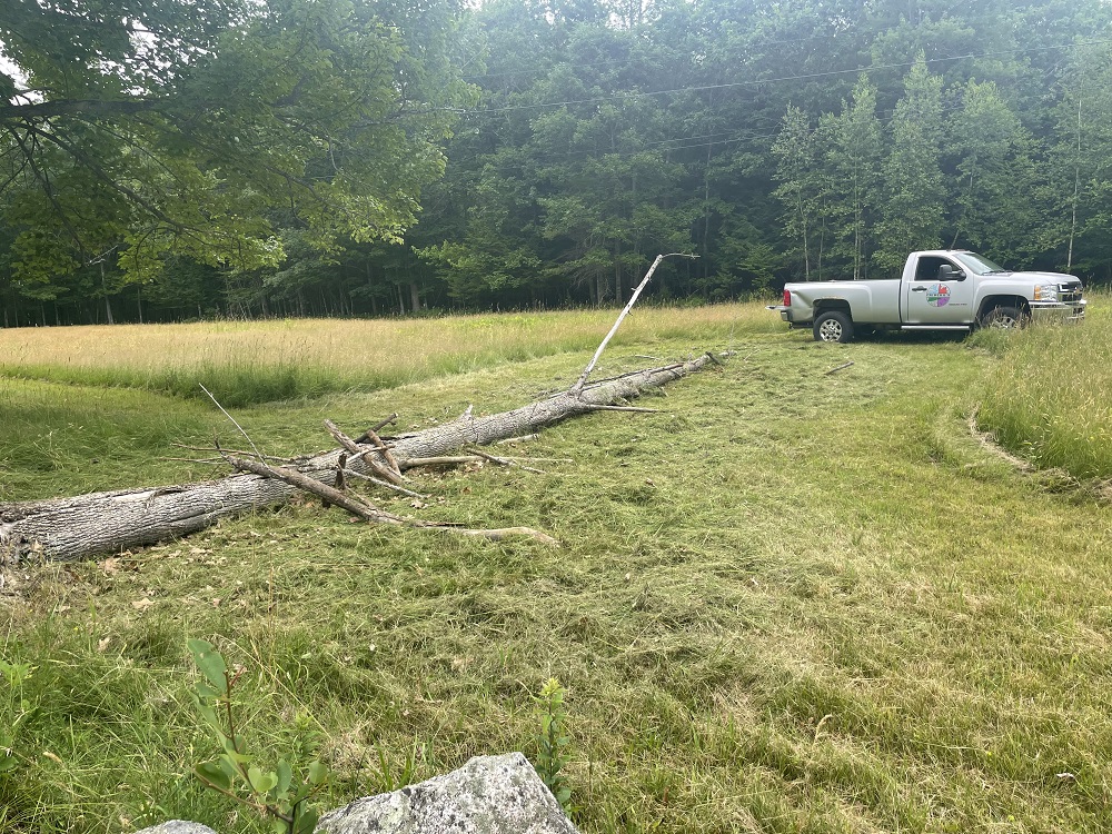Tree Clearing Upper Hay Field 2026 High Meadows Farm