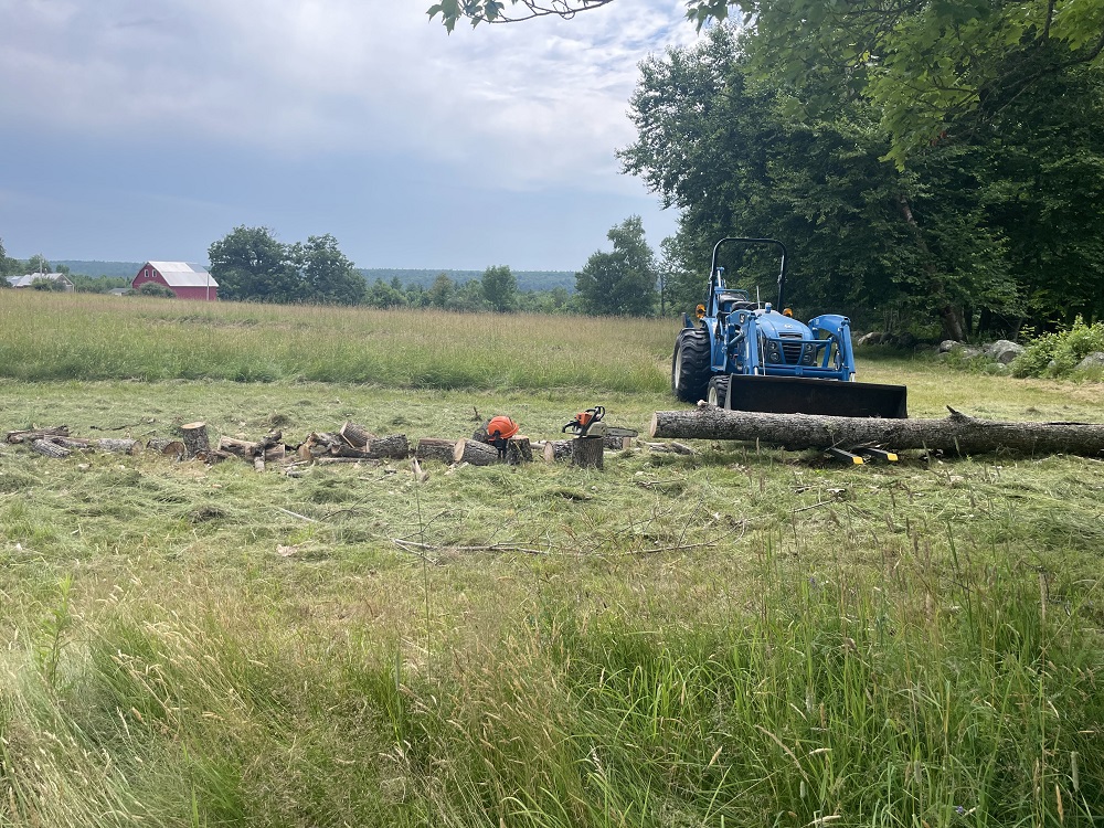 Tree Clearing High Meadows Farm 2026