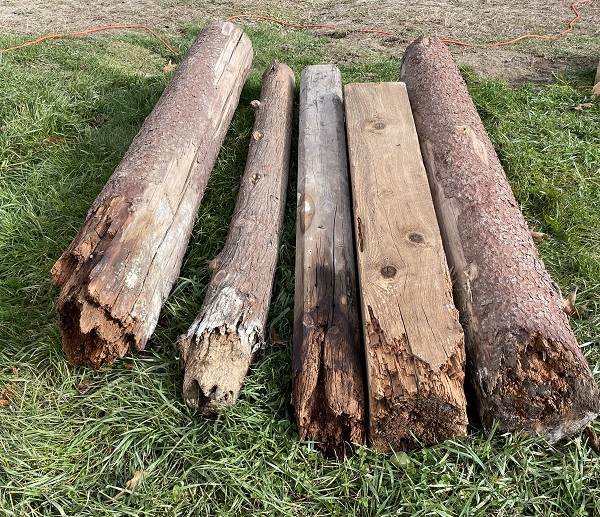 Old Cellar Posts Removed