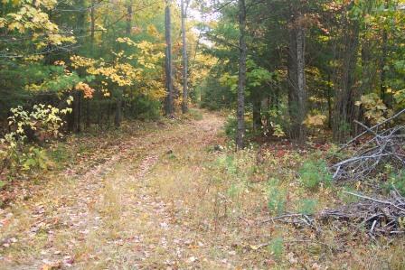 Trail on High Meadows Farm