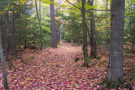 Trail on High Meadows Farm