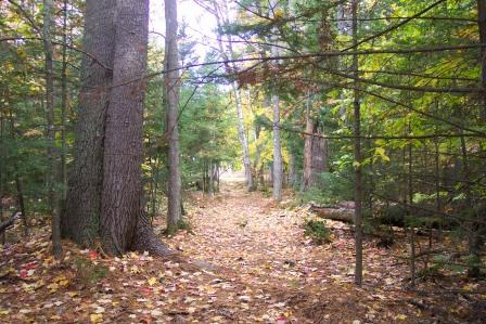 Trail on High Meadows Farm
