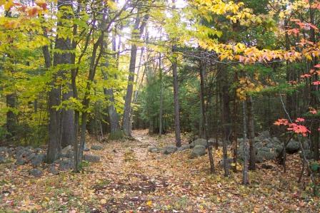 Trail on High Meadows Farm