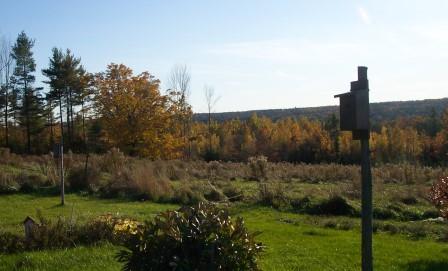 Birdhouse - Southern View 2002