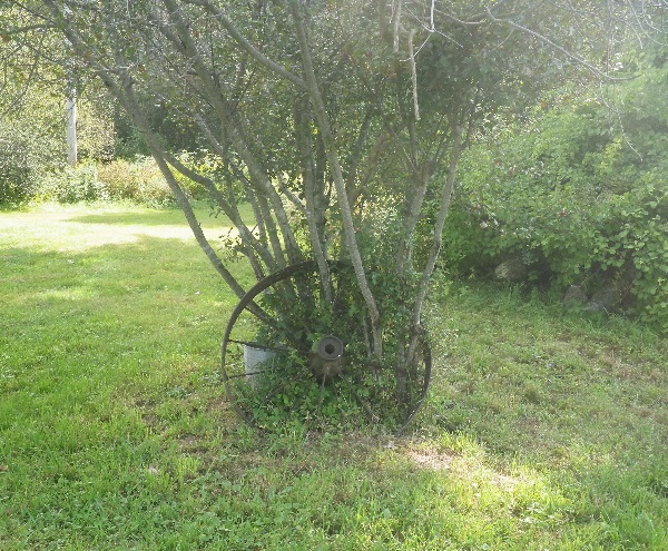 Old Farm Wagon Wheel