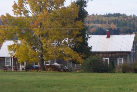 Farmhouse viewed from Upper Hayfield
