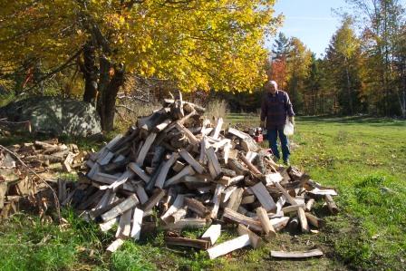 Wood pile