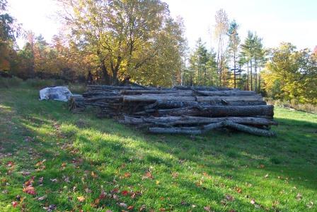 Logs for firewood