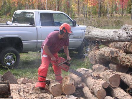 Wood Day October 2004