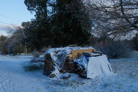 Firewood Ready for Winter