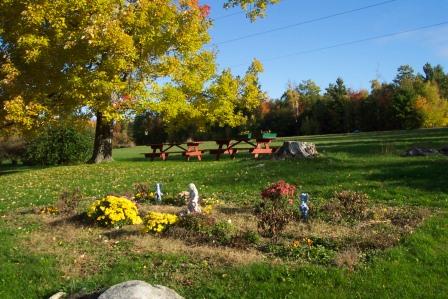 Flower Garden in Picnic Area