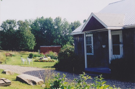 Farm Backyard Flowers