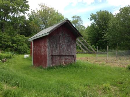 Garden Shed Rear May 2015