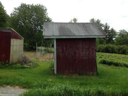 Garden Shed Side May 2015