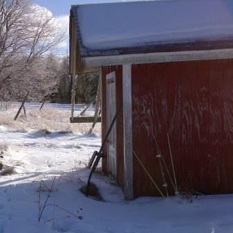 Garden Shed in Winter