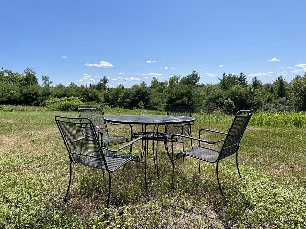 Overlooking lower pasture