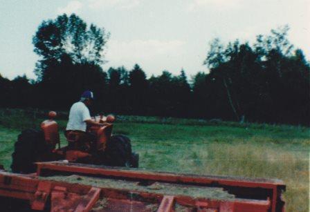 Cutting Hay