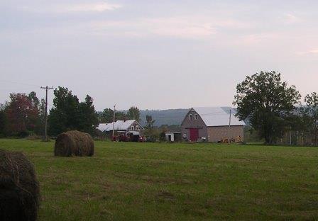 Hayfield 2004