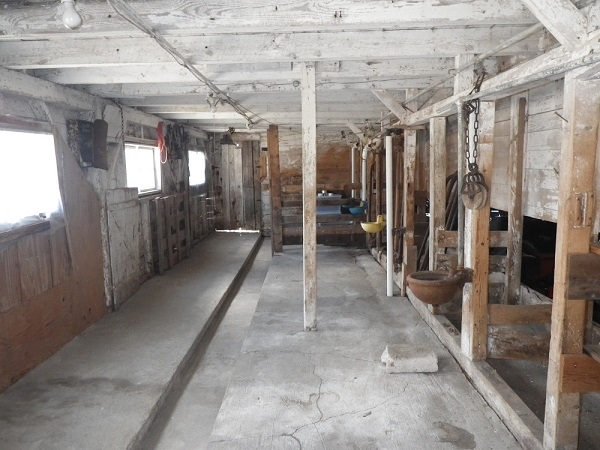 Cow Tie Down Area First Level