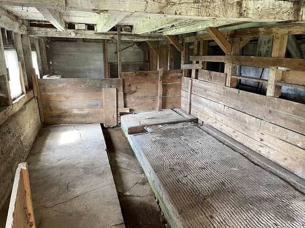 Cow Area Lower Level of Barn