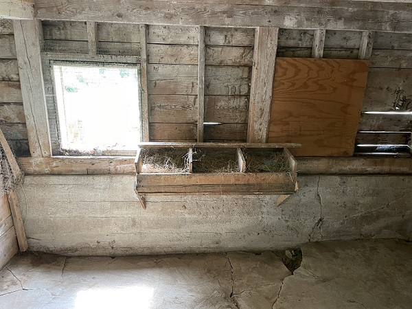 Chicken Coop - Nesting Boxes