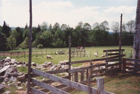 Sheep Pen 1988