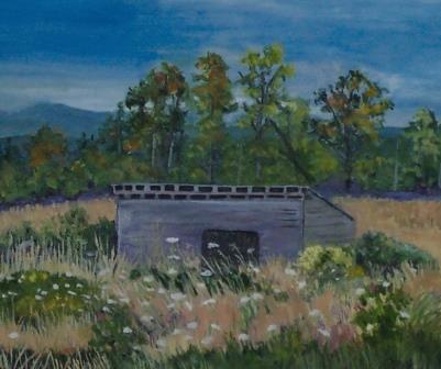 Sheephouse in Summertime