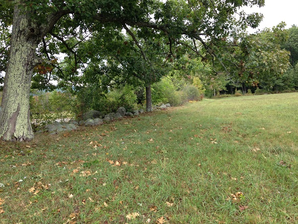 Stone Wall - View from Upper Hay Field 2016