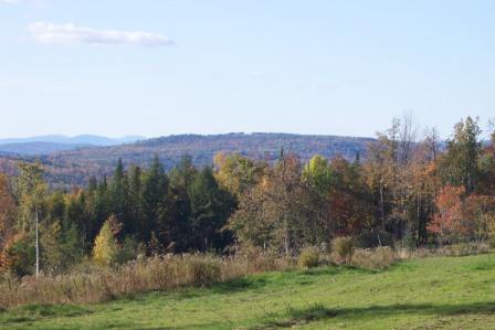 West View from Lower Pasture